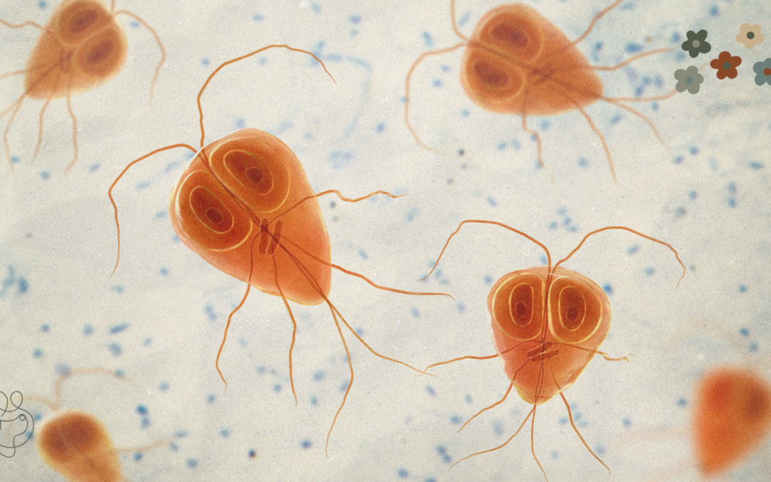 giardia gut brain axis hond Mangefik